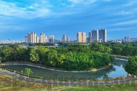 九游全民奇迹下载-九游全民奇迹，下载娱乐的新境界